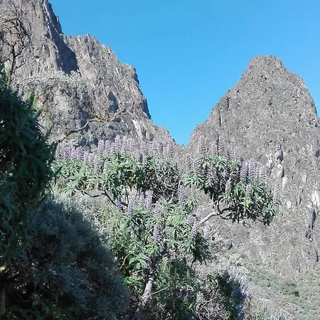 Chalet Ruta Los Alfaques 木屋 Tenteniguada